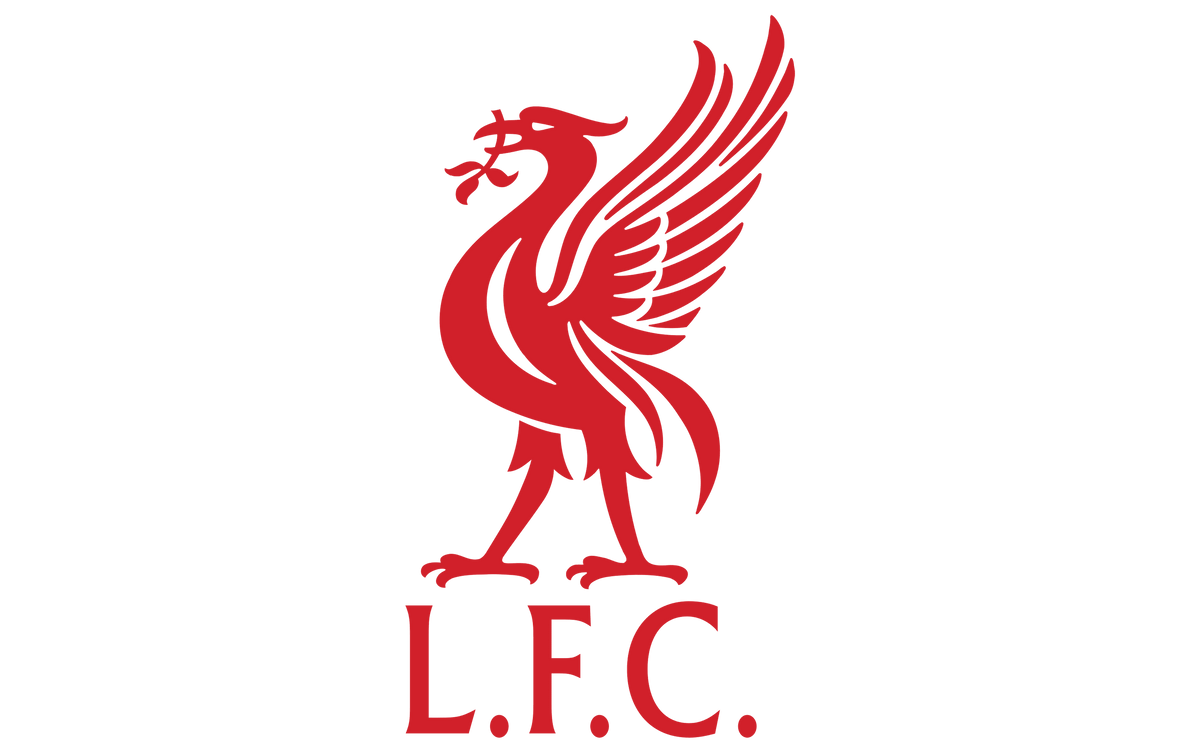 Nike Liverpool FC 2022/23 Third Jersey – Rockville & Sterling Soccer  Supplies