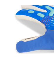 Load image into Gallery viewer, Puma Future Match NC Gloves
