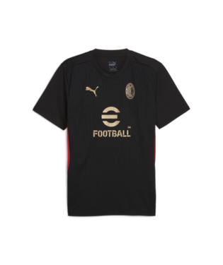 Puma Men's AC Milan Training Jersey