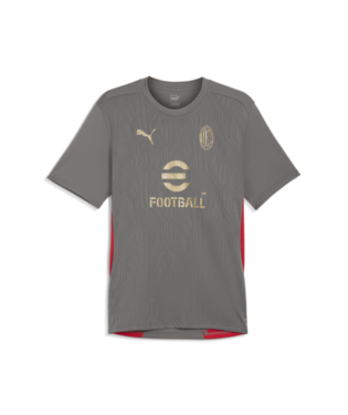 Puma Men's AC Milan Training Jersey