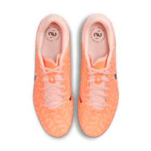 Cargar imagen en el visor de la galería, Nike Tiempo Legend 10 Academy FG/MG
